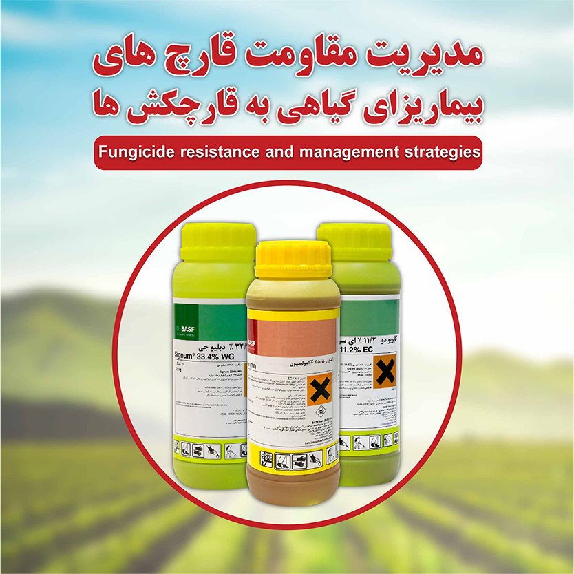 مدیریت مقاومت قارچ های بیماریزای گیاهی به قارچ کش ها